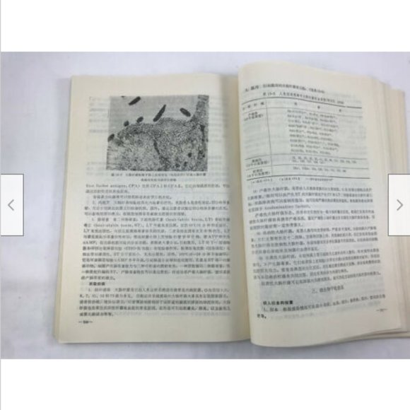 Lot 4 Mandarin Chinese Science College Textbook Cell Biology Immunocytochemistry - Picture 3 of 12